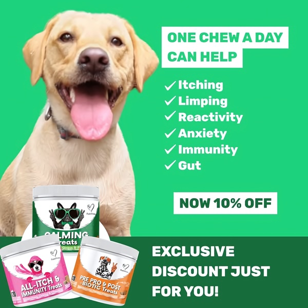 A square ad creative featuring a smiling dog and three different pet supplement tubs, highlighting specific wellness benefits for pet owners.